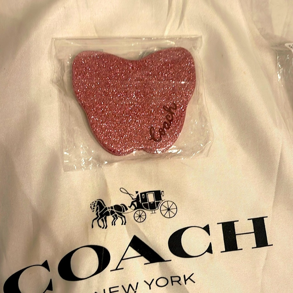 Coach Butterfly Mirror